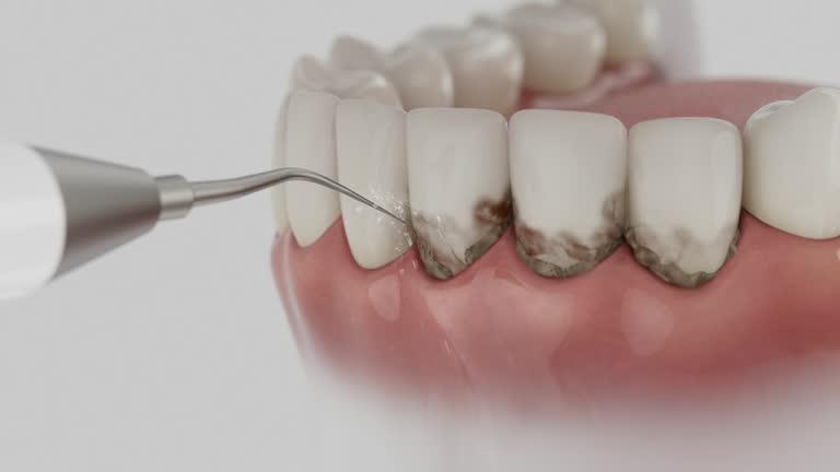 Reliable Dental contractor in Arcadia, IN by Dentist Open Now